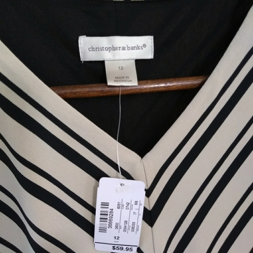 NWT size 12 Christopher Banks dress